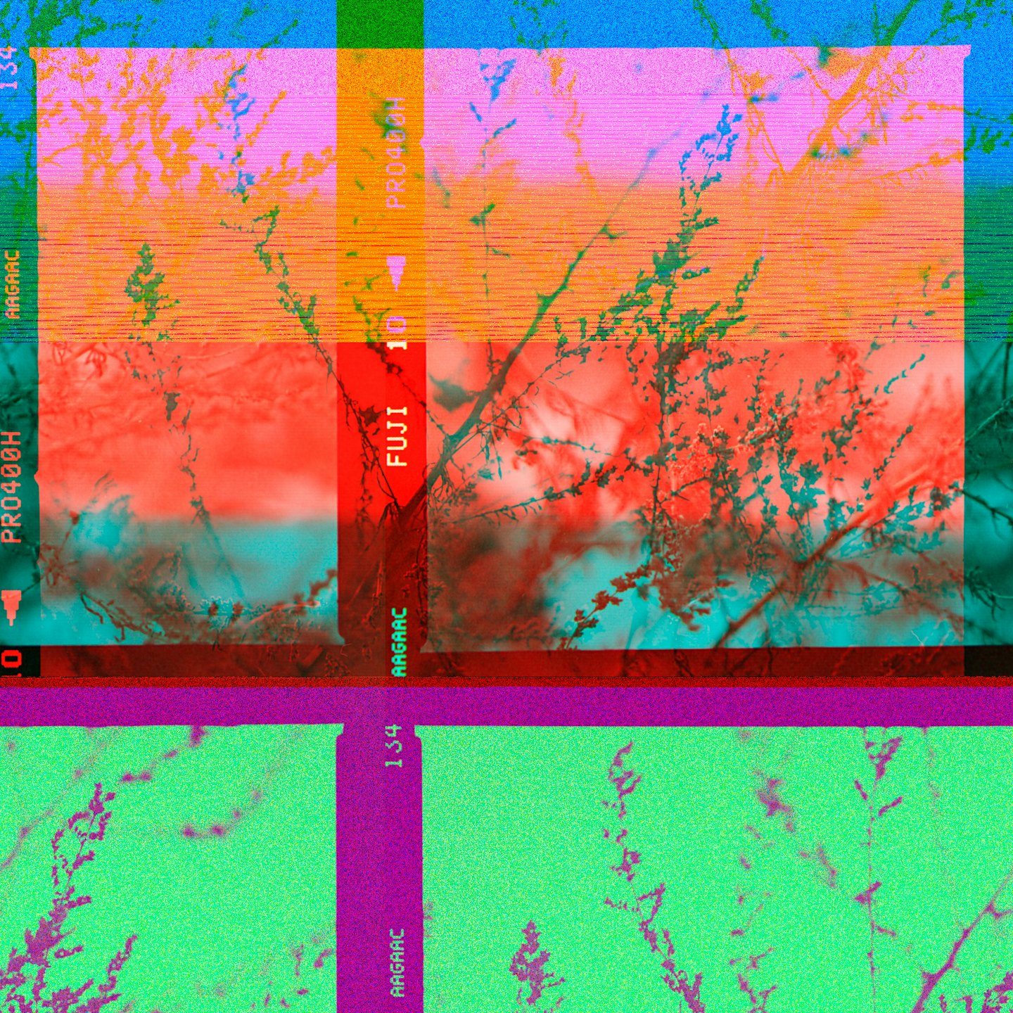 Arte digitale che mostra fogliame distorto con motivi glitch al neon.