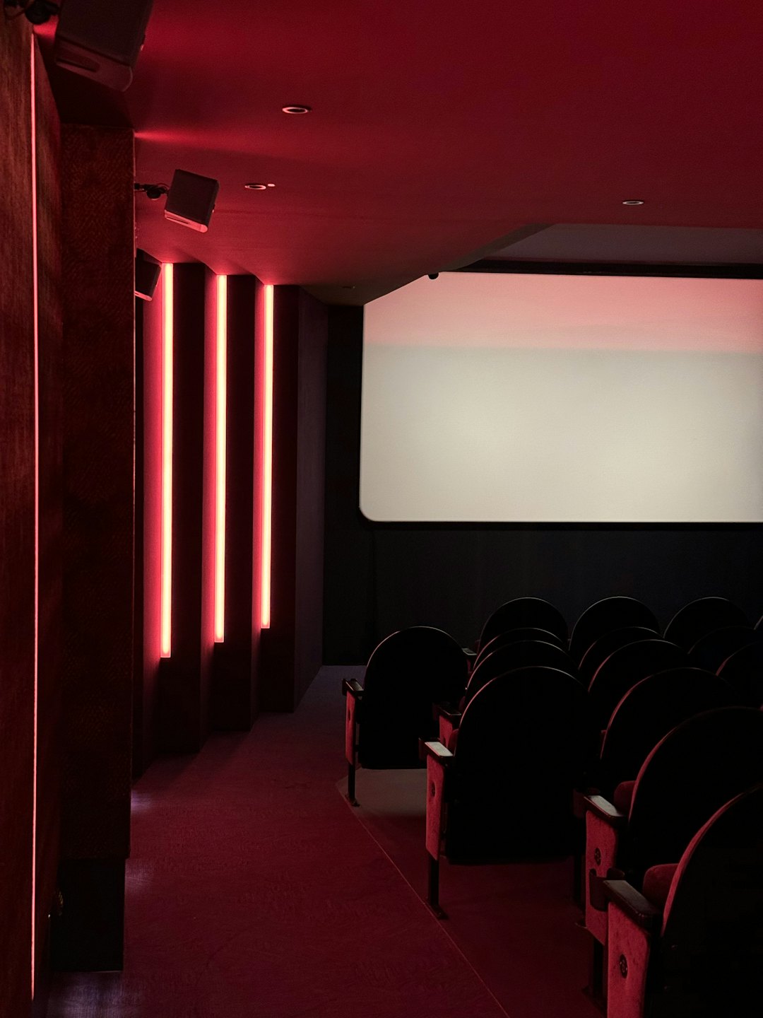 File vuote di un cinema che guardano uno schermo di proiezione bianco.